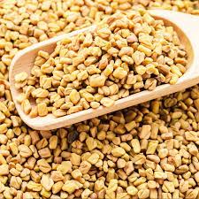 Fenugreek seed powder dosage was 1.8 to 2.7 g taken 3 times daily for the first 3 days of menstruation (total daily dose, 5.4 to 8.1 g). China Fenugreek Seed Extract Manufacturers And Suppliers Chenlv