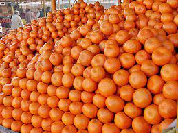 19 Reasons to Open Orange Business