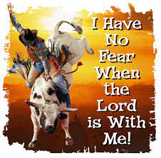 Bull Riding Quotes And Sayings Quotesgram