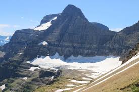 Image result for Struthiola montana