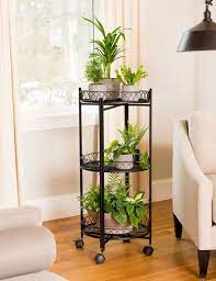Rolling Plant Stands Plant Stand Indoor Hanging Plants Indoor Plant Stand