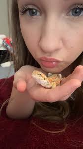 What are best practices for bearded dragon care?