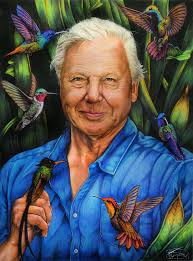 Tree ~ Art by Joanna Hoyle Photographic & drawing artwork