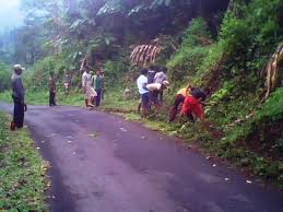 Kawasan hutan desa setianegara sangat cocok untuk menenangkan diri. Photo Galeri Desa Setianegara Kecamatan Cilimus Kabupaten Kuningan