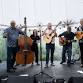 GallowGrass @ The Coach & Horses, Dumfries event image