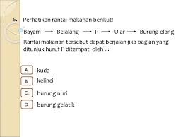 Bagian yang ditunjuk oleh huruf y berfungsi untuk. Sekolah Dasar Islam Terpadu Sdit Al Ishmah Ppt Download