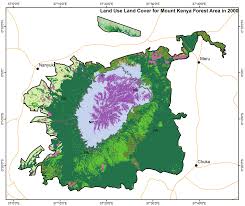 Image result for Pavetta hymenophylla
