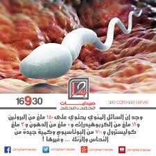 Pin On Public العام
