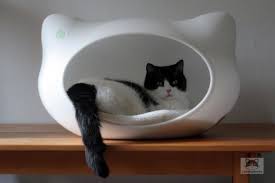 Die katzen haben teilweise auch an den teppichen gekratzt. Unsauberkeit Bei Katzen Ursachen Und Abhilfe