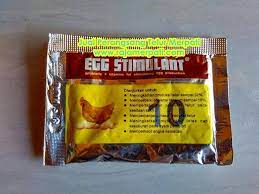 Makanan burung dara biar cepat bertelur. Obat Merpati Cepat Bertelur Jamu Agar Merpati Cepat Bertelur Home Facebook