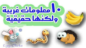 ايجي كليكس Egyclicks 10 معلومات غريبة و عجيبة ستصيبك بالدهشة In 2020 Mario Characters Fictional Characters Character
