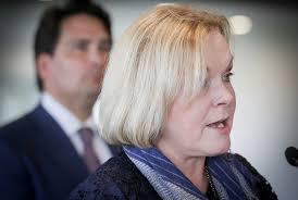 National's Judith Collins takes control of the caucus but how long can it  last?