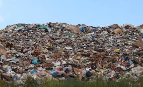 Share yours — take your best photo and share on instagram or twitter with the tag #airjordancollection. How Local Trash Disposal Affects Climate Change Grady Newsource