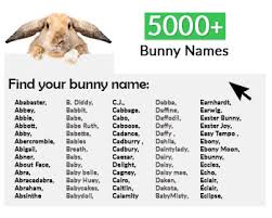 Black And White Bunny Names Boy 5000 Most Popular Bunny Names Top 250 Boy Girl Rabbitpedia Com In 2020 Bunny Names Rabbit Eating Rabbit Names