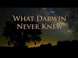 What darwin never knew offers answers to riddles that darwin couldn't explain. What Darwin Never Knew Nova Hd Youtube