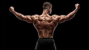 Learn vocabulary, terms and more with only rub 220.84/month. 8 Best Back Exercises For Building A Broad Physique The Trend Spotter