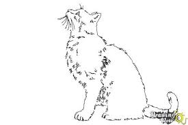 On either side of the face, draw a curved line for the cheeks. How To Draw A Cat Profile Drawingnow Cat Profile Drawings Anime Art Beautiful