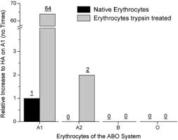 Image result for Macrotyloma maranguense