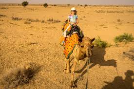 We are born and raised in the desert and we are working only with local camel guides and people of our desert village. A Memorable Night In A Jaisalmer Desert Camp