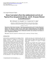 Image result for Tapinanthus dependens