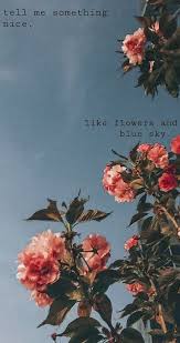 Flower Quotes Wallpaper Iphone Flower Quotes Wallpaper Iphone Flowerquotes Flowerphotography Wildfl Flower Quotes Wallpaper Quotes Iphone Wallpaper Vintage