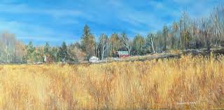 Image result for tbn:0PJB32OL7JwfOM::farm4.static.flickr.com/3324/3329876139_f2d551139f.jpg