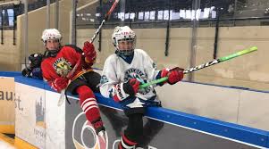 Gewinnspiel :: PM EISHOCKEY Coaches.eu