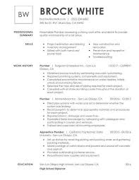 Using the best resume format serves as a blueprint for creating a highly targeted resume based on the kind and the years of work experience that you have (of course you'll need a job description). Simple Employment Resume For Job Format