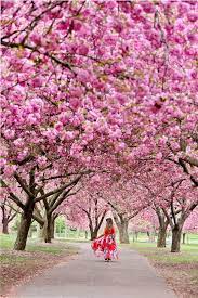Pin On New York Travel
