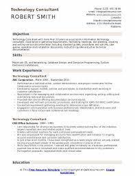 As an agile consultant, i guided the pmo management t. Technology Consultant Resume Samples Qwikresume