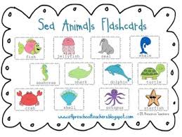 sea animals for english language learners