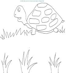 The following are steps require to print tortoise coloring page : Tortoise Coloring Page Printable For Kids