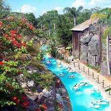 Lazy River At Typhoon Lagoon Walt Disney World Resort L Lake Buena Vista Florida Disney Water Parks Disney World Water Parks Water Park