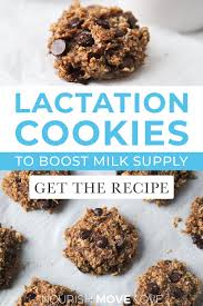 Edible Cookie Dough The Best Lactation Cookies Nourish Move Love Recipe In 2020 Healthy Lactation Cookies Lactation Cookies Edible Cookies