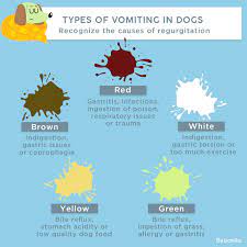 My Dog Vomits A Dark Brown Liquid And Does Not Eat What S Wrong Barkibu Es Dog Remedies Sick Dog Dog Throwing Up