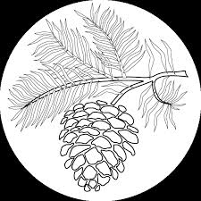 Vector illustration of pinecone wood nat. Pin On Debbie