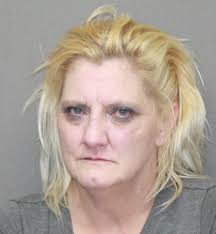 On July 31, 2020, Nodaway County Deputies were working an investigation  involving distribution of illegal drugs in the southeast area of Nodaway  County. Deputies intercepted a car driven by a 48-year-old female.
