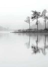 Black And White Nature Art Prints Lake Poster White Art Black White Posters Poster Prints