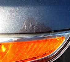 We have not verified their usefulness or safety. Ford Bubbling Paint Warranty Is A Sham Says Lawsuit Carcomplaints Com