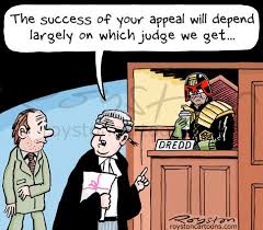 Cartoon Judge Lawyer Humor Lawyer Jokes Law School Humor
