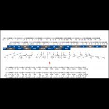 Iwa Slide Charts And Wheel Charts Slide Charts