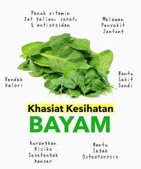 Seperti vitamin a, vitamin b dan vitamin c. Siapa Hari Ini Makan Sayur Bayam Public Health Malaysia Facebook