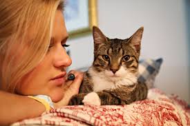 PLUM STREET SAMPLERS: Cochon and a Kitty