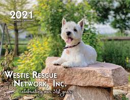 1 like · 1 talking about this. Westie Rescue Network Inc Home