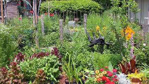 963 n harrison ave ste 106. Grow An Edible Landscape North Carolina Cooperative Extension