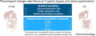 A pouch reset is a way to shrink your stomach back down to size by drastically restricting your food intake. Postprandial Nutrient Handling And Gastrointestinal Hormone Secretion After Roux En Y Gastric Bypass Vs Sleeve Gastrectomy Gastroenterology