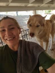 I want to introduce my spoiled 4 legs 😍