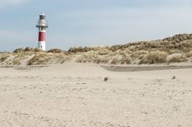10 grote fotoframes in duurzaam hout. Lijk Aangespoeld Op Strand Van Nieuwpoort Foto Hln Be