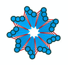 Centrosome structure and function in animal cell. Centrosome