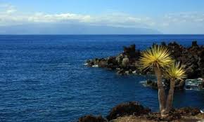 Senior farmers market nutrition program. The Best Available Hotels Places To Stay Near La Playa Calera Spain